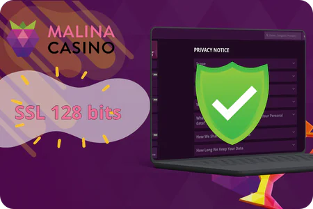 Malina Casino proteção SSL segurança