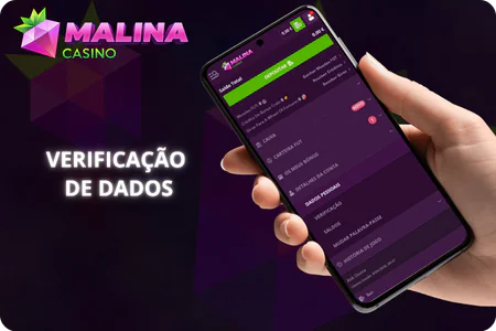 Verificação de dados Malina